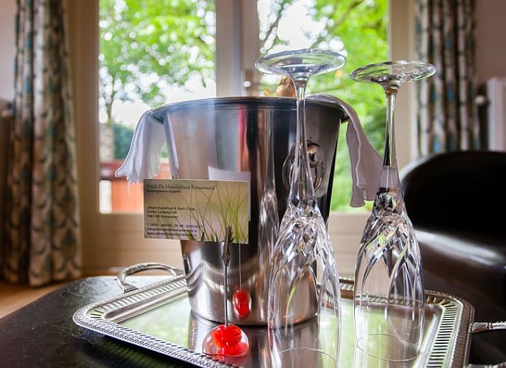 Bluehende Hortensien schmuecken das Ferienhaus in Ruinerwold, ein charmantes Ferienhaus in Drenthe.