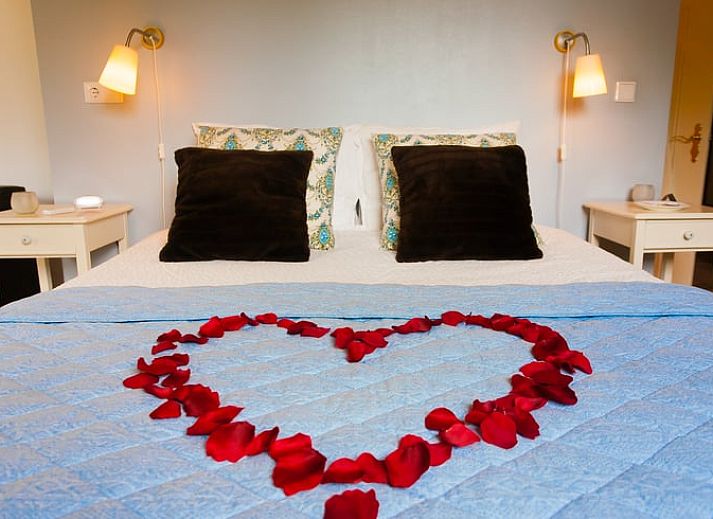 Malerischer Garten im Ferienhaus in Ruinerwold, einem attraktiven Ferienhaus im Suedwesten von Drenthe.