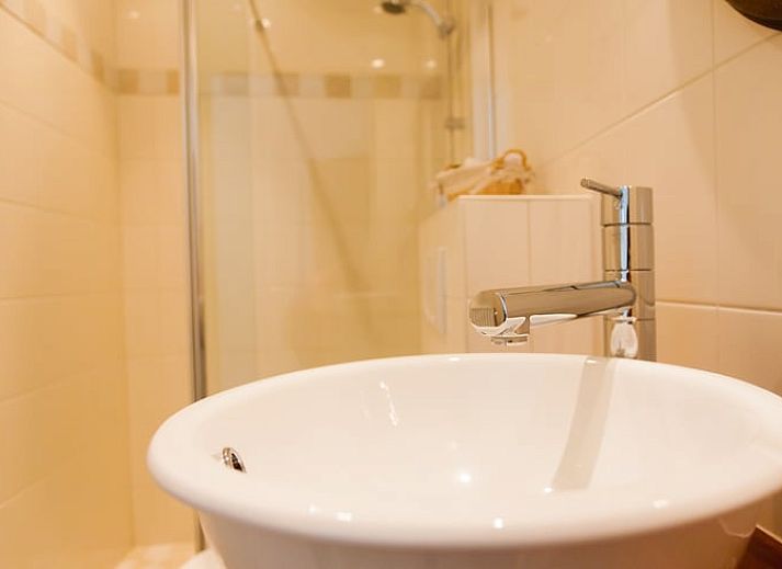 Malerischer Garten im Ferienhaus in Ruinerwold, einem attraktiven Ferienhaus im Suedwesten von Drenthe.