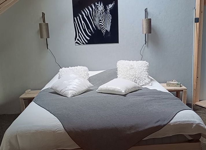 Guest house 201426 - Holiday property Zuidwest Drenthe - Vakantiehuis in Ruinerwold