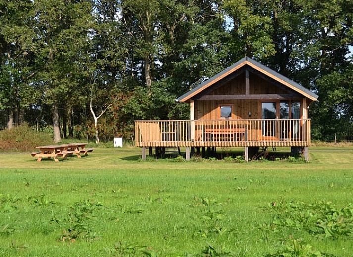 Verblijf 201431 • Vakantiewoning Zuidwest Drenthe • Chique, zeer luxe ingericht, 10 persoons landhuis in