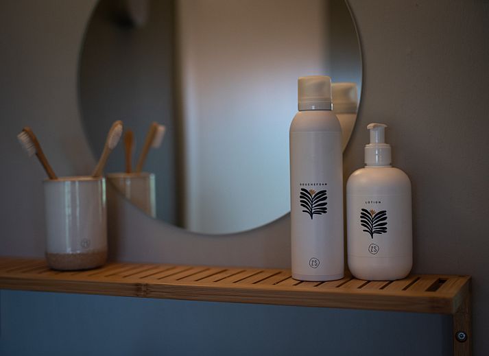 Unterkunft 201433 - Ferienhaus Zuidwest Drenthe - Wellness lodge