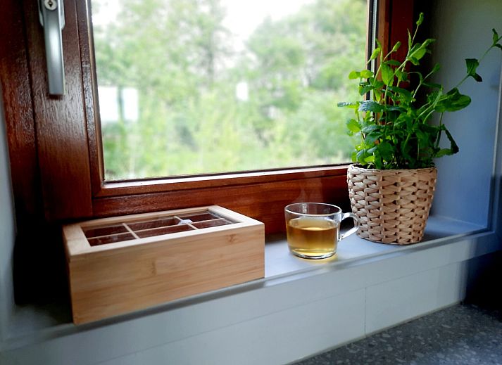 Guest house 201434 - Holiday property Zuidwest Drenthe - Ackerlodge