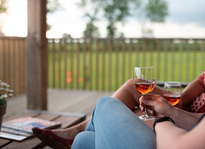 Guest house 201434 - Holiday property Zuidwest Drenthe - Ackerlodge