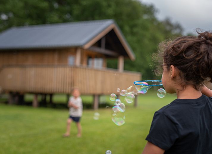 Guest house 201434 - Holiday property Zuidwest Drenthe - Ackerlodge