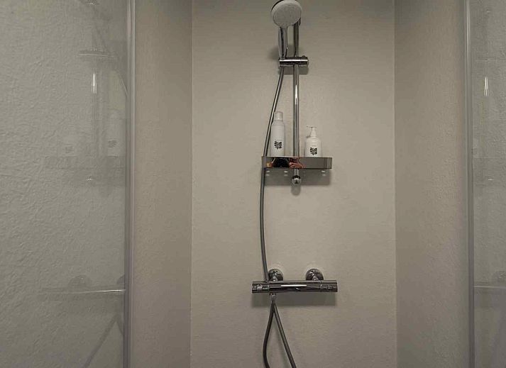 Ferienhaus DG970 in Ruinerwold, Suedwest-Drenthe mit einer grossen Veranda und gruener Umgebung.