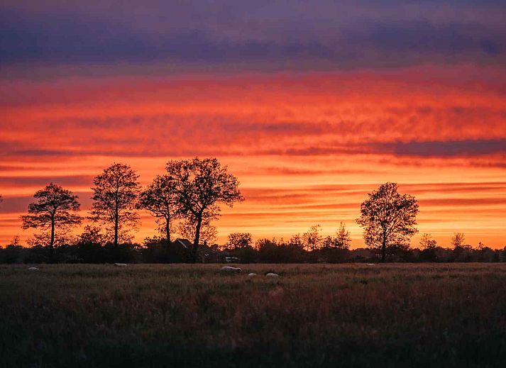 Geraeumige Einrichtung des Ferienhauses DG970 in Ruinerwold, Suedwest-Drenthe.