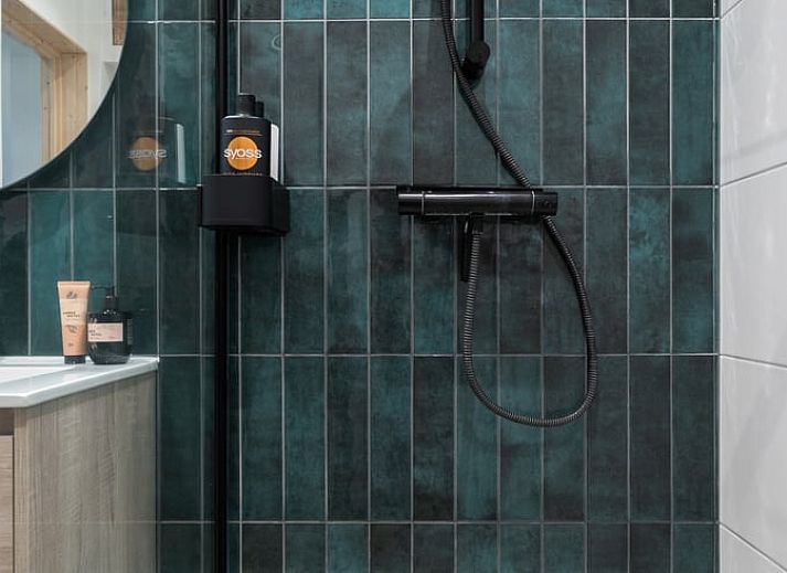 Guest house 201511 - Holiday property Zuidwest Drenthe - Vakantiehuisje in Zorgvlied