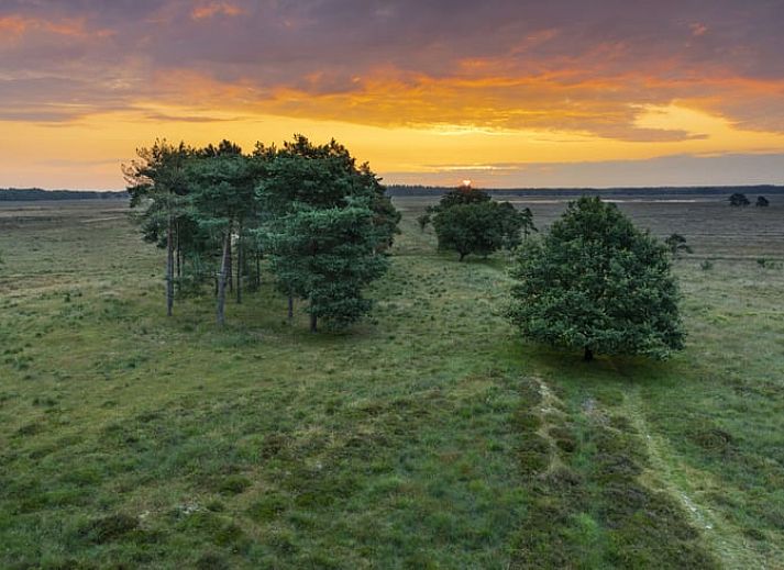 Gezellige woonkamer in Huisje in Zorgvlied, een chalet in Zuidwest Drenthe met veel lichtinval en comfortabele zithoek.