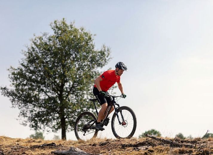 Moderne keuken en eetruimte in Huisje in Zorgvlied, een chalet in Zuidwest Drenthe, perfect voor een ontspannen vakantie.