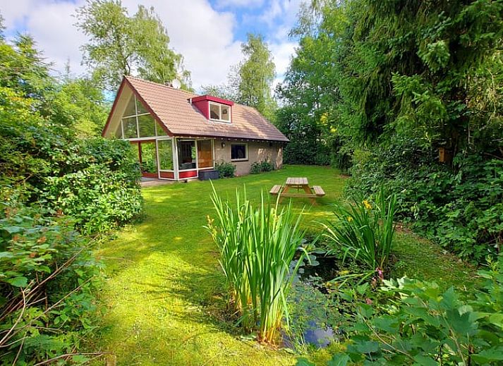 Vakantiehuis in Zorgvlied in Zuidwest Drenthe, omringd door groen met vijver en picknicktafel.