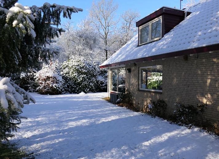 Vakantiehuis in Zorgvlied in Zuidwest Drenthe, omringd door groen met vijver en picknicktafel.