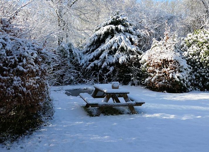 Vakantiehuis in Zorgvlied in Zuidwest Drenthe, omringd door groen met vijver en picknicktafel.