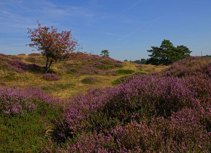 Gastenboek van Vakantiehuis in Zorgvlied, Zuidwest Drenthe, met positieve recensie en tekening.