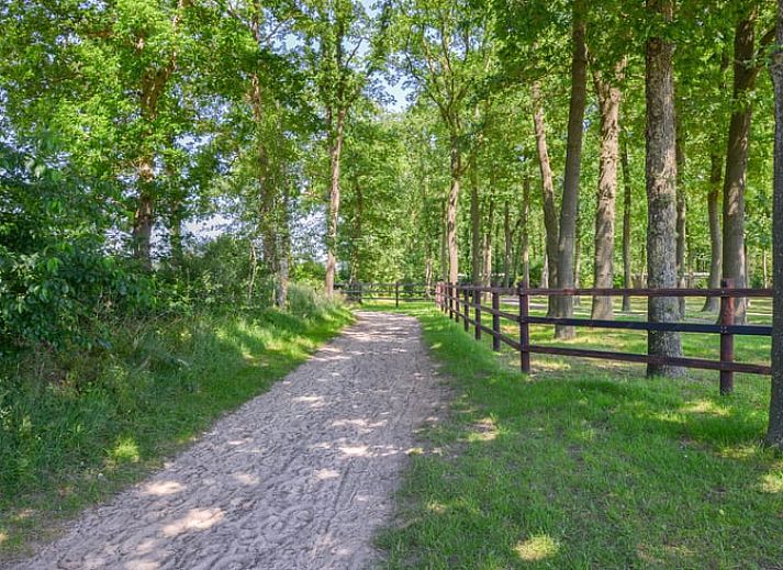 Gemuetliches Wohnzimmer des Ferienhauses in Zorgvlied, Suedwest-Drenthe, mit Blick auf die gruene Natur und moderner Einrichtung.