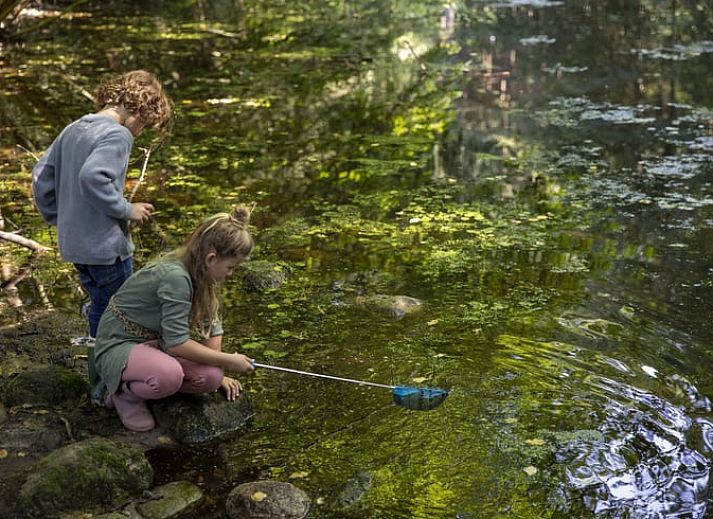 Gemuetliches Wohnzimmer des Ferienhauses in Zorgvlied, Suedwest-Drenthe, mit Blick auf die gruene Natur und moderner Einrichtung.