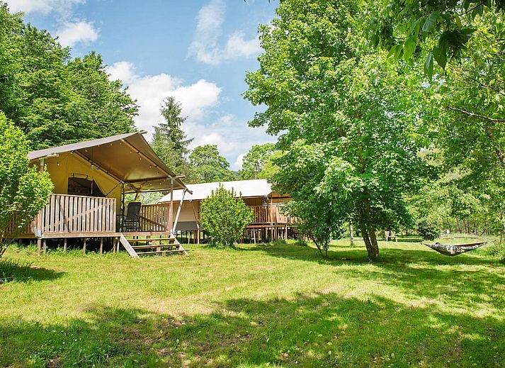 Guest house 201536 - Holiday property Zuidwest Drenthe - Safarilodge | 4 Pers