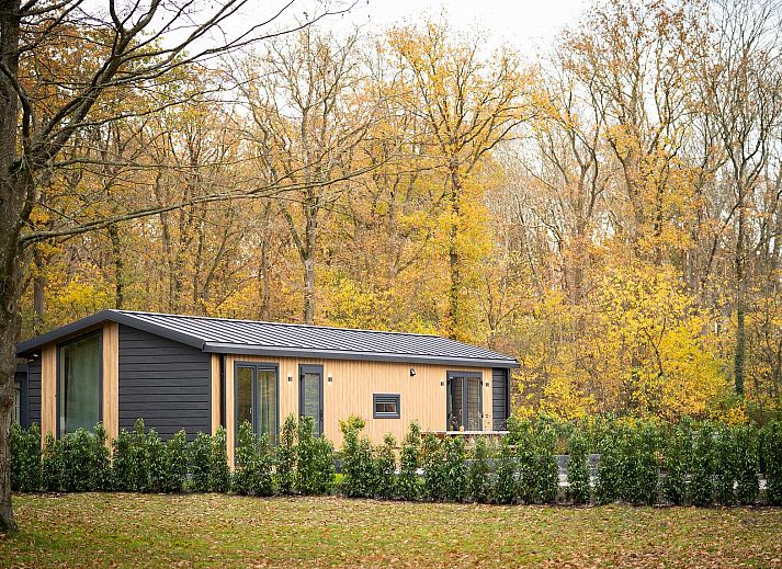 Verblijf 201538 - Vakantiewoning Zuidwest Drenthe - Aekinger Lodge | 4 Pers