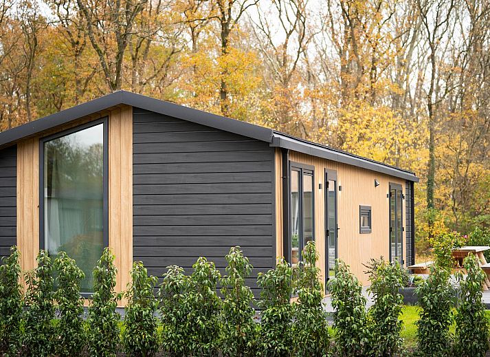 Verblijf 201538 - Vakantiewoning Zuidwest Drenthe - Aekinger Lodge | 4 Pers