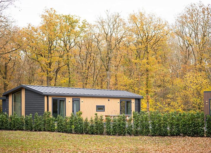 Guest house 201539 - Chalet Zuidwest Drenthe - Aekinger Lodge