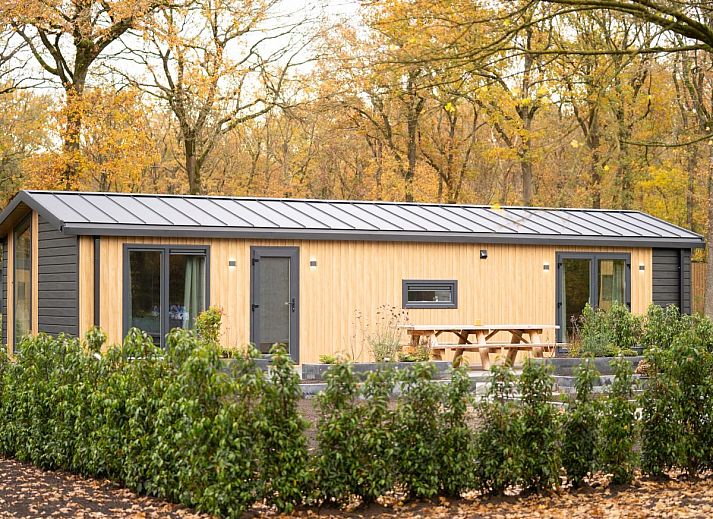 Guest house 201539 - Chalet Zuidwest Drenthe - Aekinger Lodge