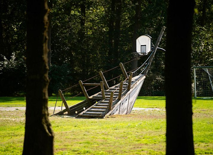 Guest house 201539 - Chalet Zuidwest Drenthe - Aekinger Lodge