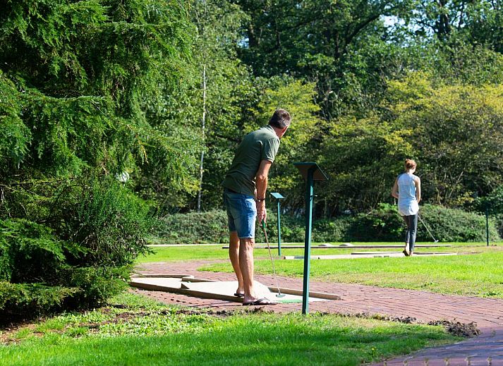 Verblijf 201540 - Tenthuis Zuidwest Drenthe - Safarilodge l 4 pers