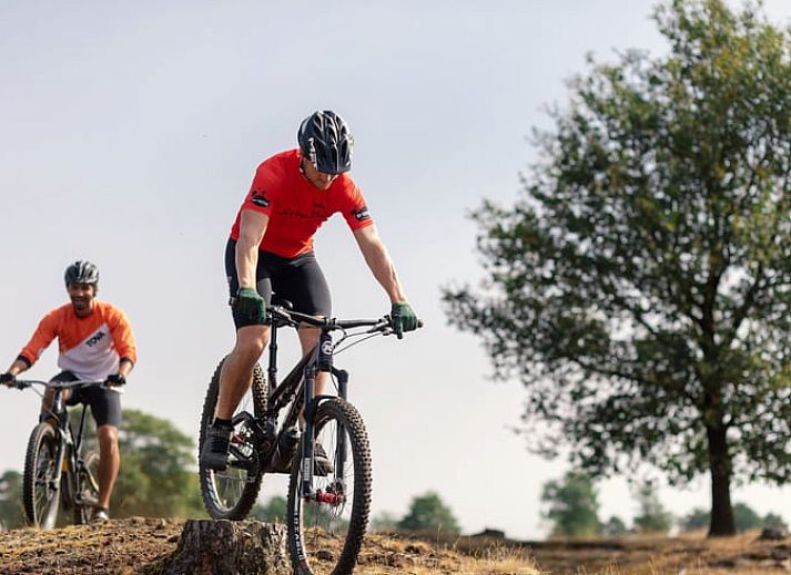 Unterkunft 201541 - Ferienhaus Zuidwest Drenthe - Huisje in Zorgvlied