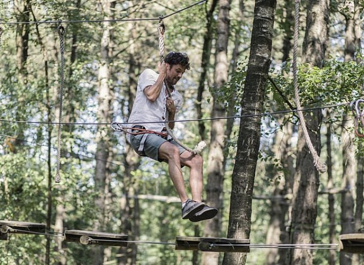 Unterkunft 201541 - Ferienhaus Zuidwest Drenthe - Huisje in Zorgvlied