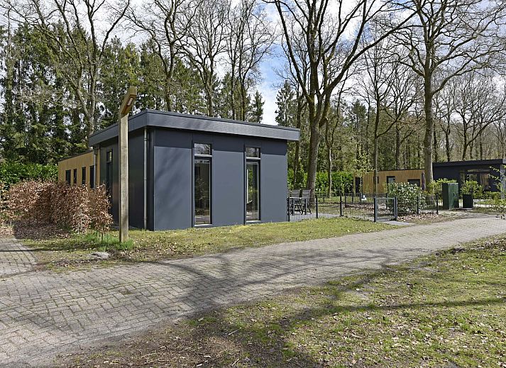 Unterkunft 201545 - Chalet Zuidwest Drenthe - Chalet in Zorgvlied