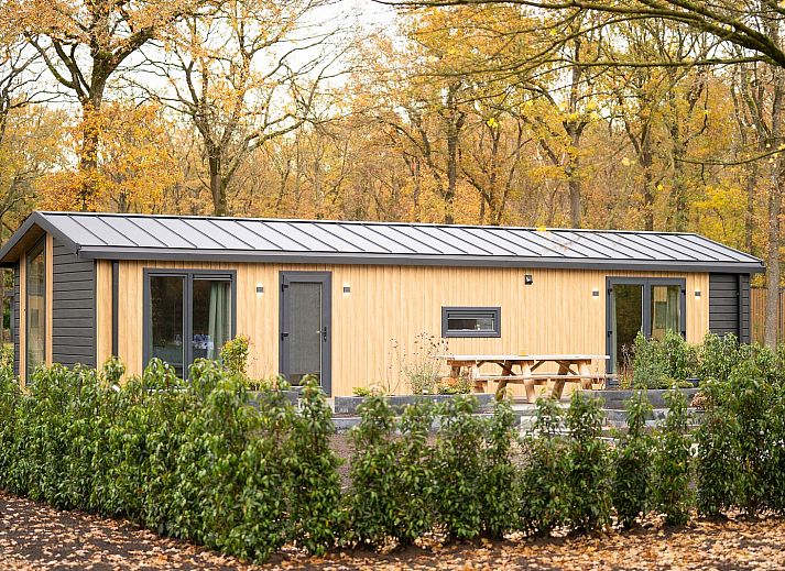 Guest house 201547 - Holiday property Zuidwest Drenthe - Aekinger Lodge | 4 Pers. Omheinde tuin en Hottub