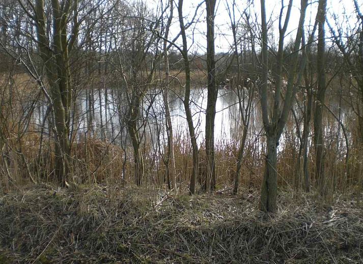 Verblijf 201549 - Vakantiewoning Zuidwest Drenthe - DG100