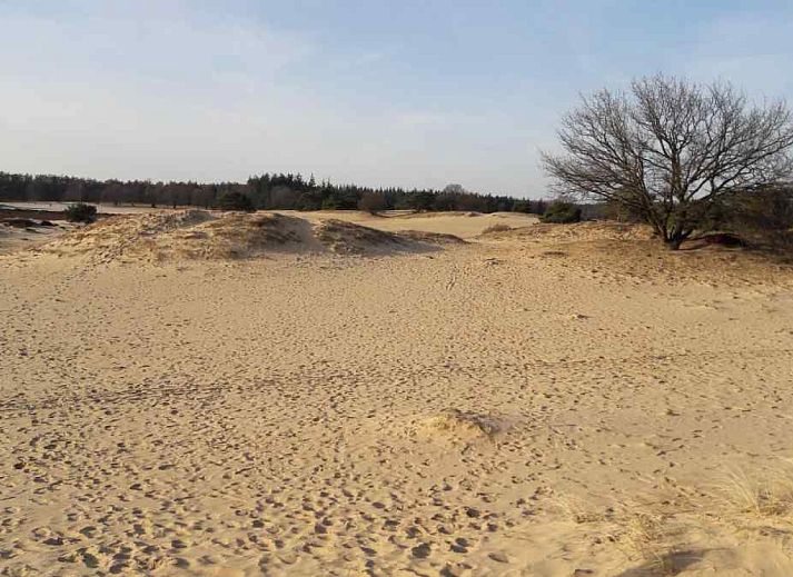 Verblijf 201549 - Vakantiewoning Zuidwest Drenthe - DG100