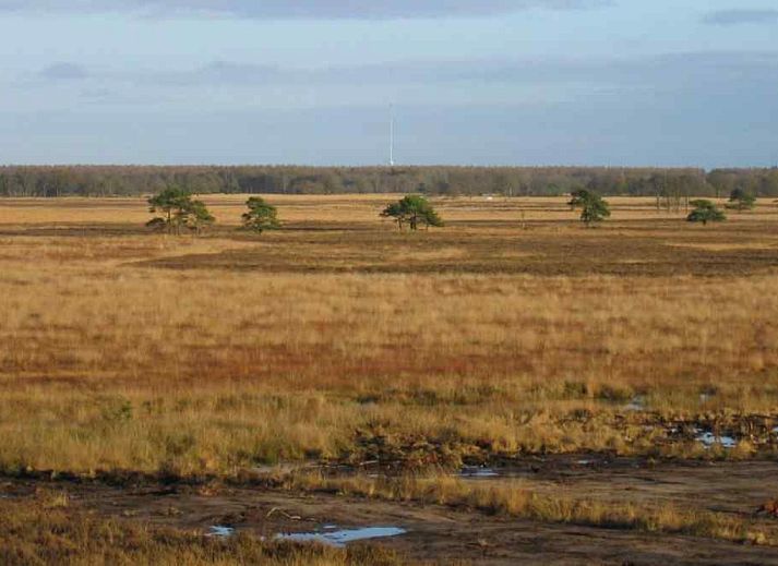 Ferienhaus DG011 in Zorgvlied, Drenthe mit gruener Umgebung und Terrasse.