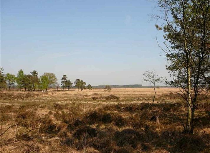 Ferienhaus DG011 in Zorgvlied, Drenthe mit gruener Umgebung und Terrasse.
