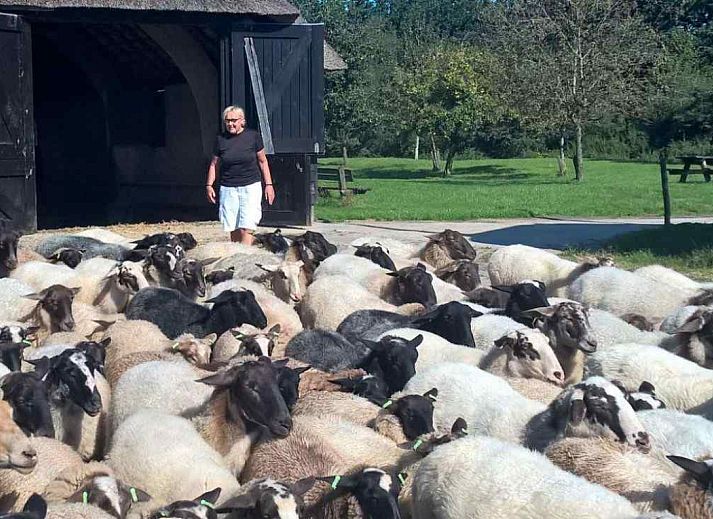 Blick auf das Moor in der Naehe des Ferienhauses DG011 in Zorgvlied, Suedwest-Drenthe.