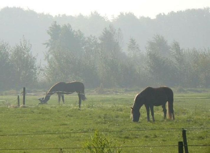 Gemuetliches Wohnzimmer des Ferienhauses DG011 in Zorgvlied, Drenthe mit bequemen Stuehlen.