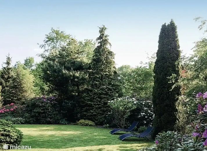 Unterkunft 201552 - Ferienhaus Zuidwest Drenthe - Bella Nova
