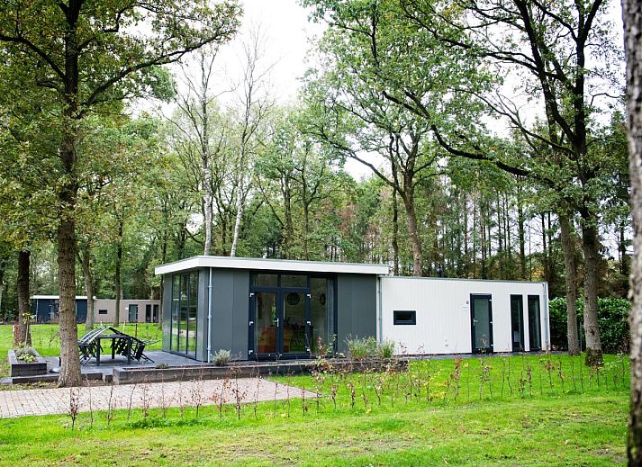 De Ganzenpoel chalet in Zorgvlied, Zuidwest Drenthe, omgeven door groene natuur en rustieke charme.