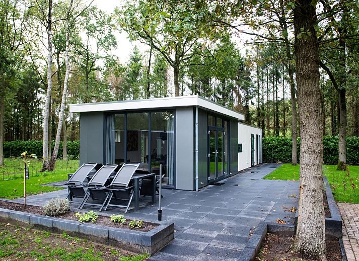 De Ganzenpoel chalet in Zorgvlied, Zuidwest Drenthe, omgeven door groene natuur en rustieke charme.