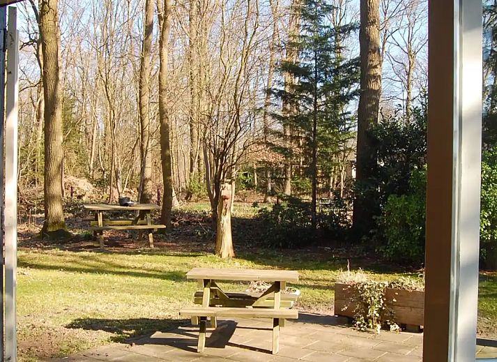 Unterkunft 201566 - Bungalow Zuidwest Drenthe - Vakantiehuis Zorgvlied