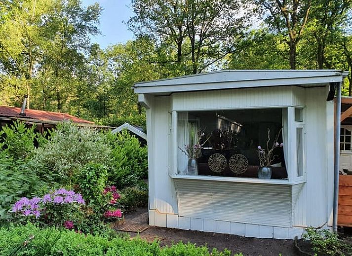 Unterkunft 201607 - Ferienhaus Zuidwest Drenthe - Huisje in Vledder