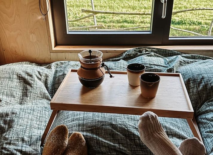 Vacation cottage in Vledder, Southwest Drenthe, with terrace and green surroundings.