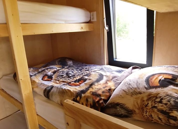 Vacation cottage in Vledder, Southwest Drenthe, with terrace and green surroundings.