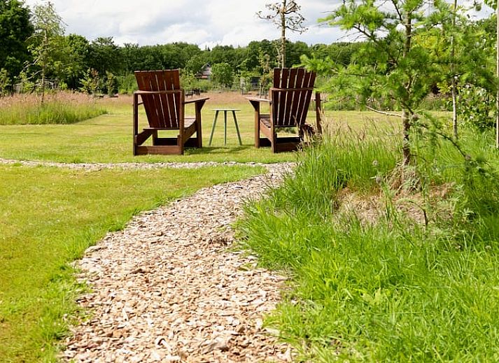 Dining and sleeping area in Holiday cottage in Vledder, Southwest Drenthe, with wooden interior.