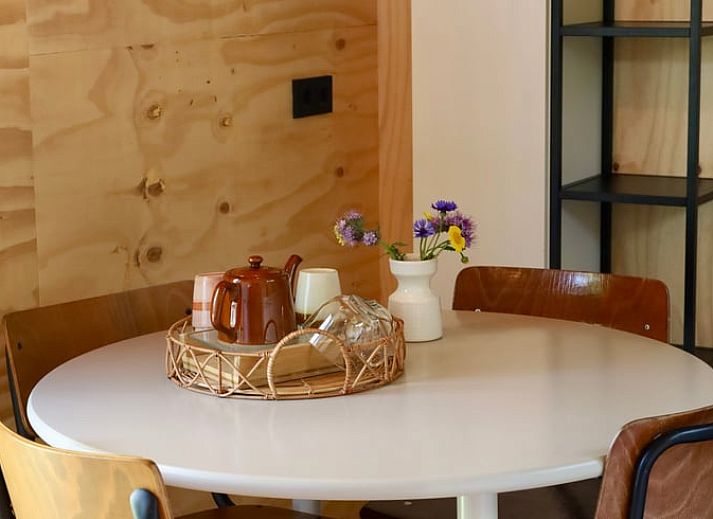 Umgebung des Ferienhauses in Vledder, Sued-West Drenthe mit Schaukel und ueppiger Natur.