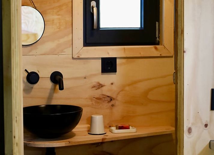 Umgebung des Ferienhauses in Vledder, Sued-West Drenthe mit Schaukel und ueppiger Natur.