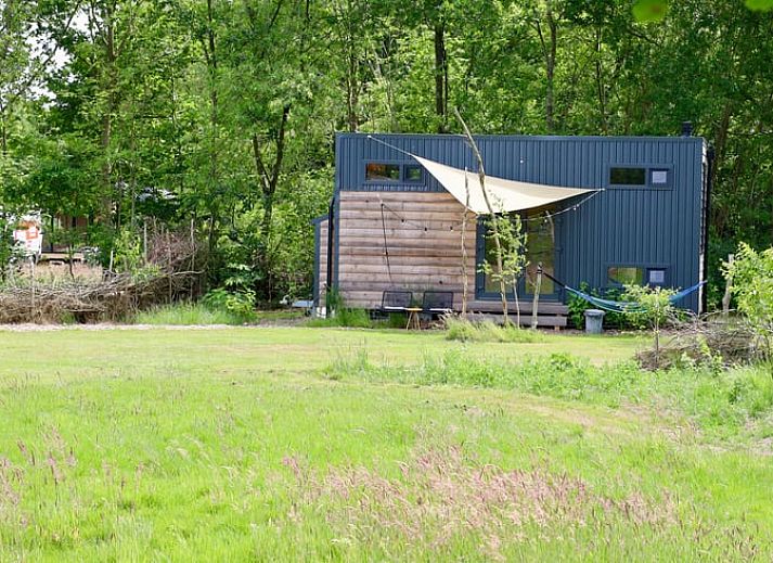 Gemuetliches Wohnzimmer des Ferienhauses in Vledder, Suedwest-Drenthe, mit Holzofen und Waldblick.