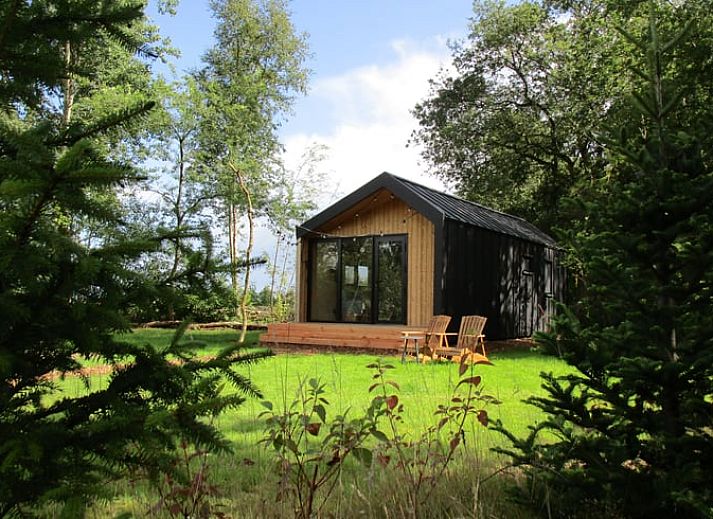 Vacation home in Vledder with veranda surrounded by nature in Southwest Drenthe.