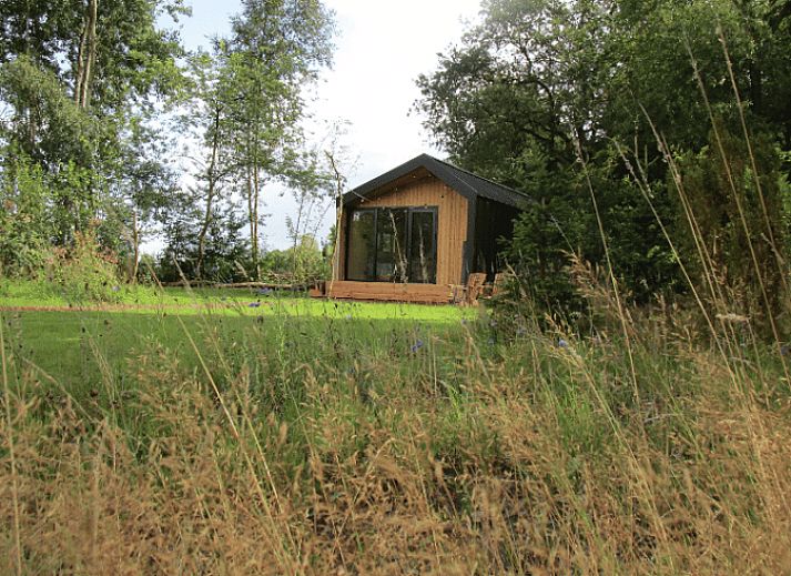 Vacation home in Vledder with veranda surrounded by nature in Southwest Drenthe.